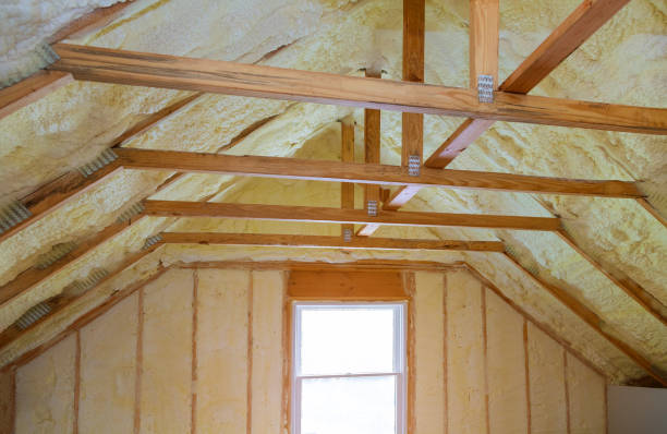 Best Eco-Friendly Insulation in , VT
